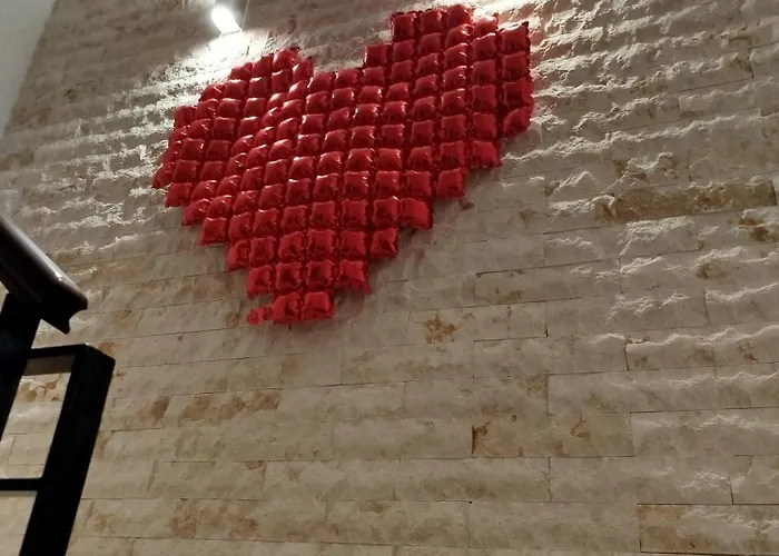 La Casa De La Mimosa