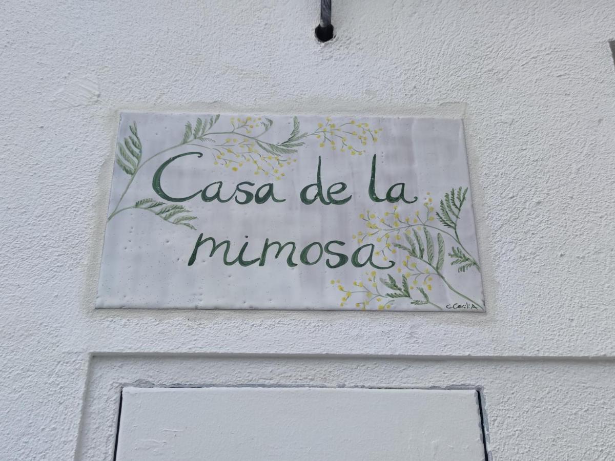 Apartament La Casa De La Mimosa