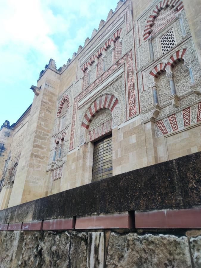 La Casa De La Mimosa Còrdova