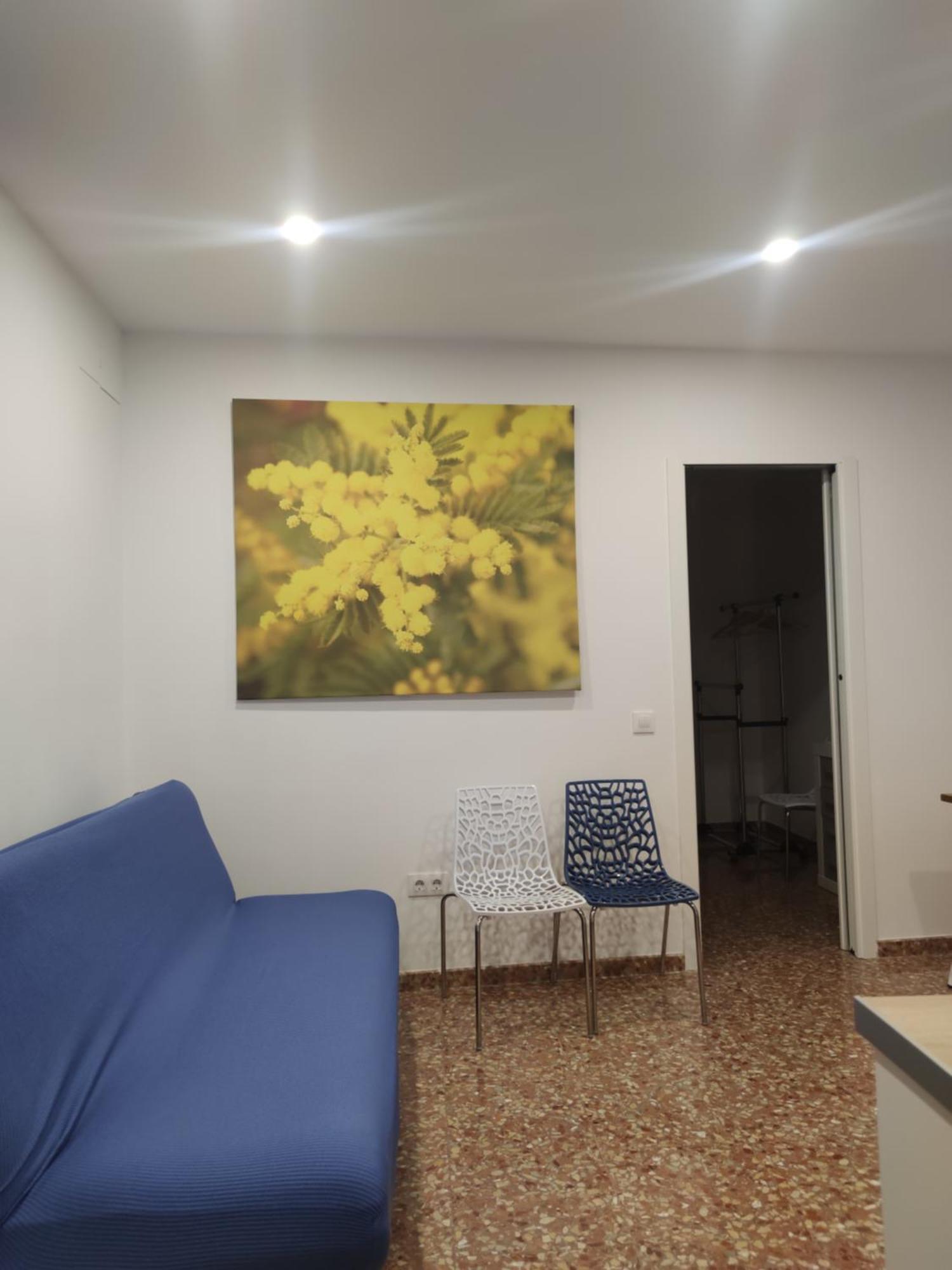 Apartament La Casa De La Mimosa *